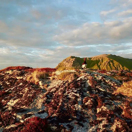 Alpesi faház Viking Lofoten