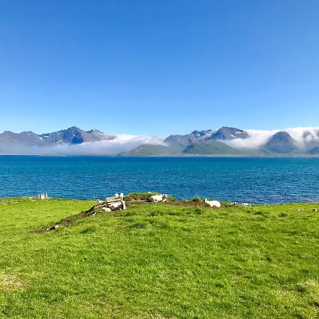 Viking Lofoten *